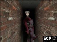  SCP ...