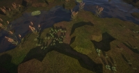 Stalker Oblivion Lost [ ]