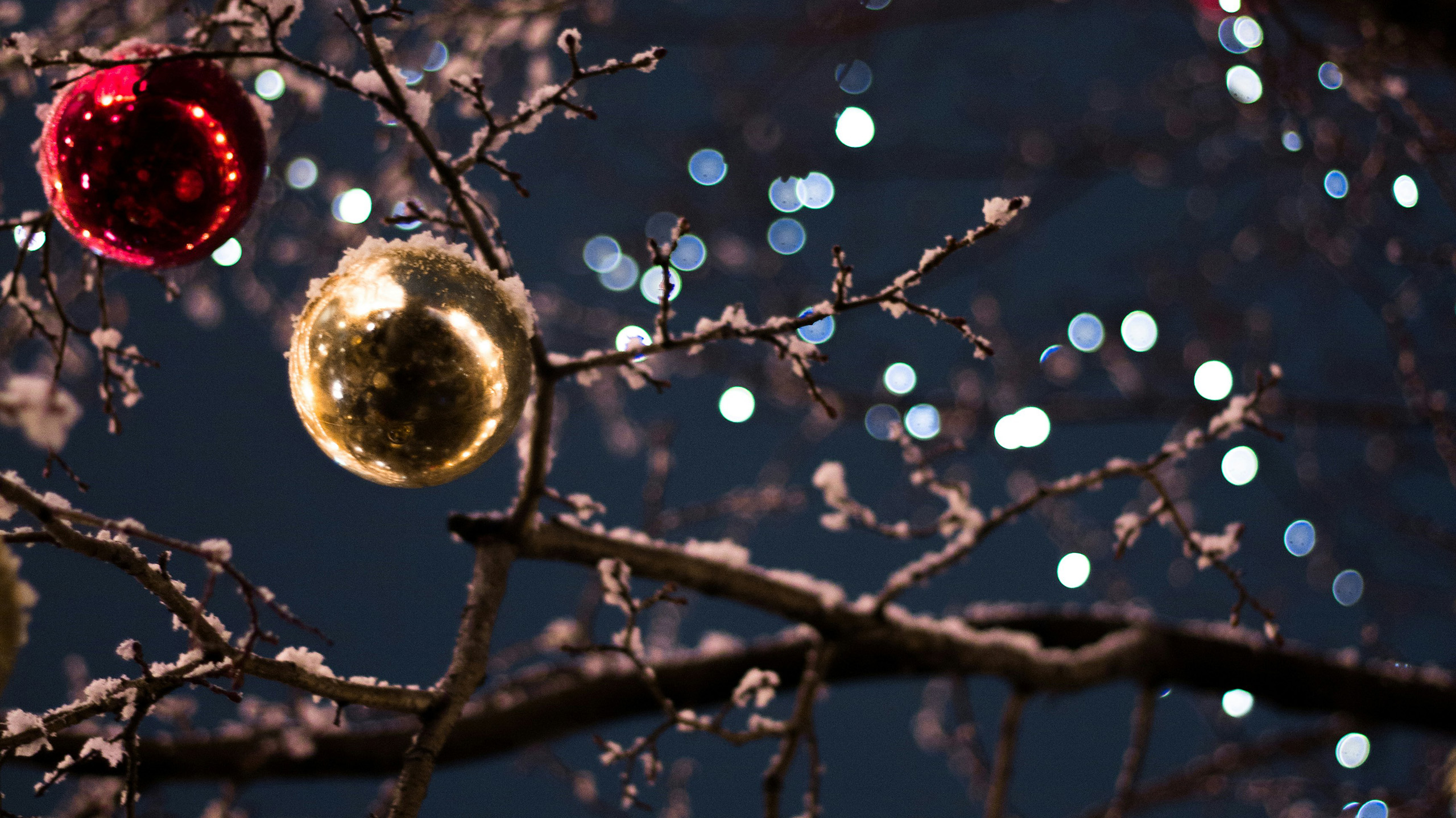 [���� 2025 ����] ������ ��� �����������