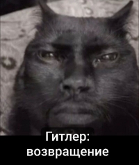 [���� 2025 ����] �����������