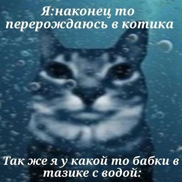 �����: ����� 2 � �.�...