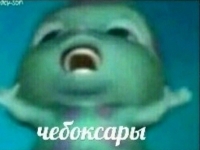 ���� ������