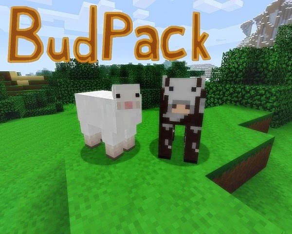 [1.2.3][16px] BudPack -    - 