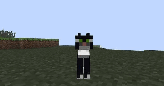 A Terrible, But Not Very Difficult Secret About Cats in Minecraft. Cats Are Cyclops! Isn&#8217;T It Scary?