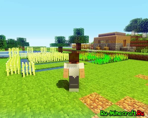 [64X][1.4X-1.5] TRADITIONAL BEAUTY | WITH POCKET EDITION -  