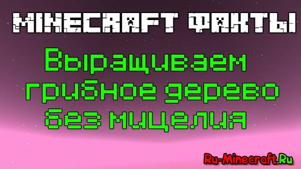 [Video] Minecraft :     