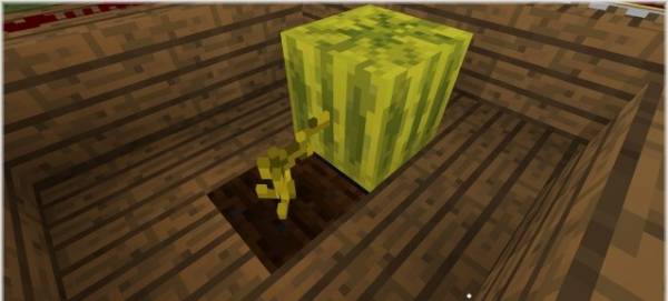 [][1.6.4 - 1.5.2]Block 3D craft -   minecraft    