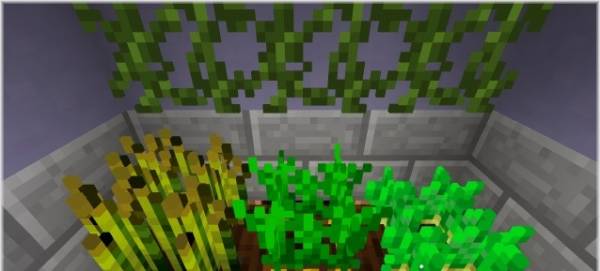 [][1.6.4 - 1.5.2]Block 3D craft -   minecraft    