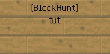 [] Hide and Seek | Block Hunt