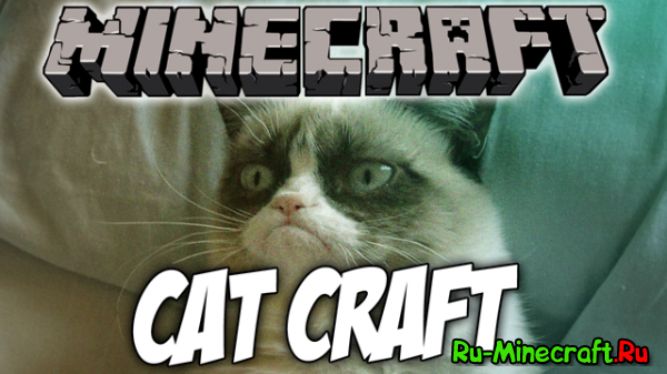 [1.6.4]CatCraft -  !