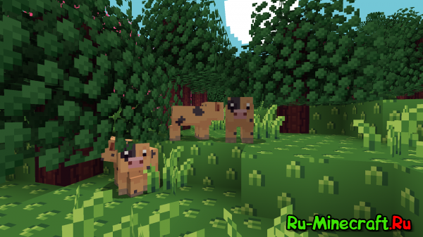 [1.8x][16x] Floatsy, Cuteness Reinvented -  