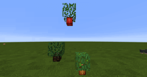 Better Compiled -   [1.12][16px]