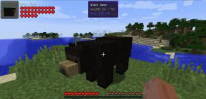 Bear With Me -   [1.12.2] [1.11.2] [1.10.2]