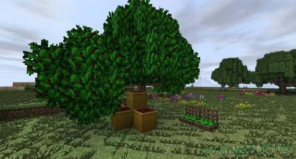 Dynamic Trees - Heat and Climate [1.12.2]