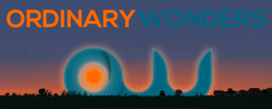 Ordinary Wonders Resource Pack [1.13] [64x]