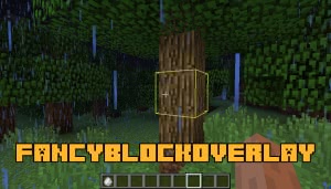 FancyBlockOverlay [1.12.2]