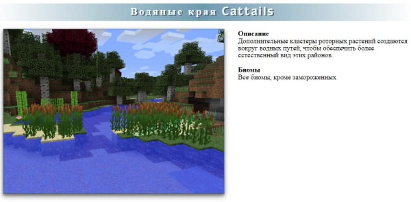 RealWorld -  ,   [1.12.2] [1.11.2]