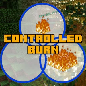 Controlled Burn - настройки огня [1.12.2]