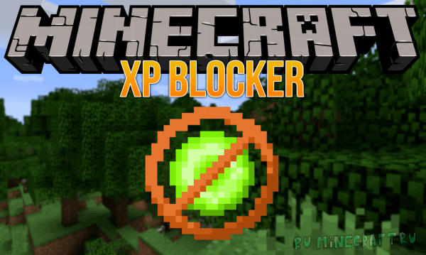 XP Blocker -     [1.11.2] [1.10.2] [1.9.4] [1.7.10]