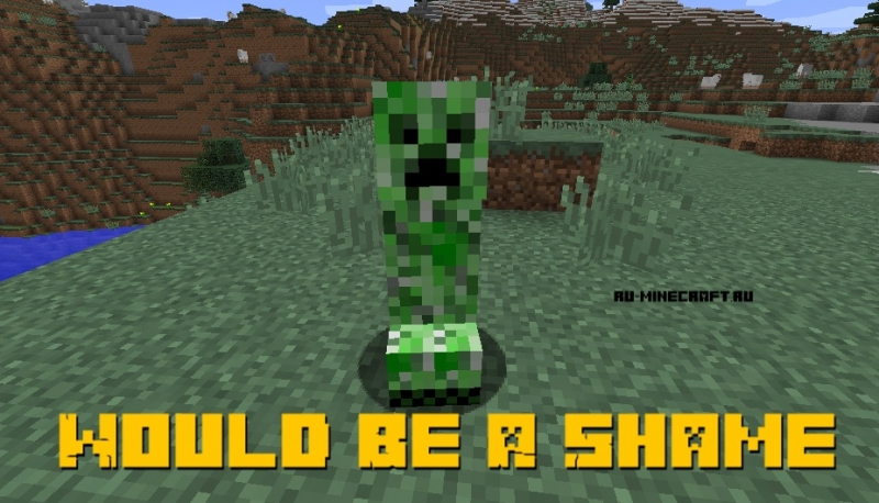 Would Be A Shame -   [1.12.2]
