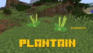 Plantain -   [1.12.2]