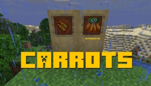 Carrots -   [1.14.4]