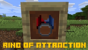 Ring of Attraction - - [1.20.5] [1.19.2] [1.18.2] [1.17.1] [1.16.5] [1.15.2] [1.14.4]