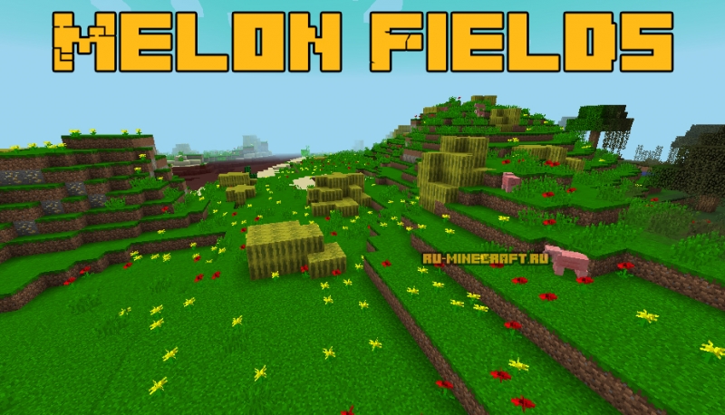 Melon Fields - поля с арбузами [1.12.2] 