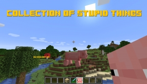 Collection of Stupid Things - тупые вещи [1.14.4]