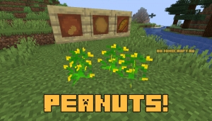 Peanuts! -  [1.16.4] [1.15.2] [1.14.4]