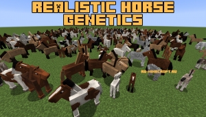 Realistic Horse Genetics - реалистичная генетика лошадей [1.20.1] [1.19.4] [1.18.2] [1.17.1] [1.16.5] [1.15.2] [1.14.4] [1.12.2]
