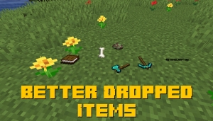 Better Dropped Items - 3   [1.19] [1.18.2] [1.17.1] [1.16.5] [1.15.2] [1.14.4]