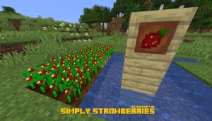 Simply Strawberries -   [1.16] [1.15.2]