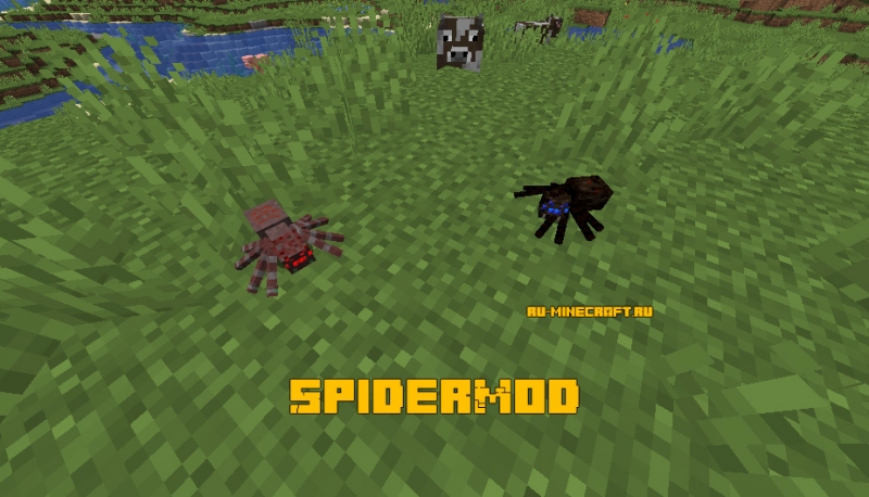 SpiderMod - парочка пауков для майнкрафта [1.15.2]