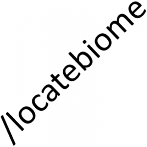 LocateBiome - команда поиска биома [1.15.2] [1.14.4]
