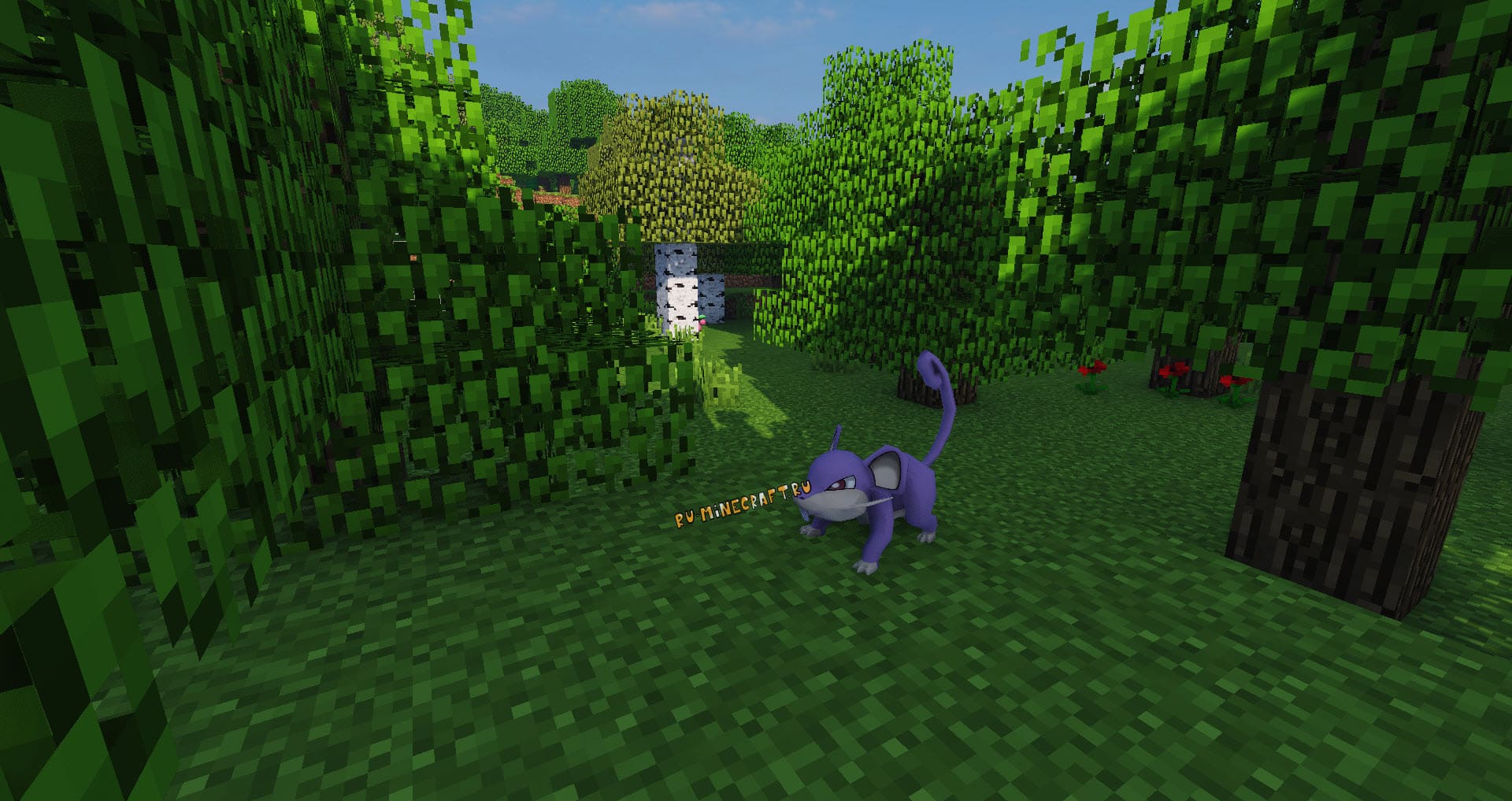 Pixelmon - Pokemon Mod for Minecraft 1.16.5/1.12.2/1.8.9/1.7.10