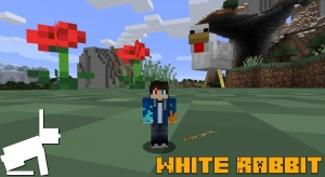 White Rabbit -     [1.20.4] [1.19.4] [1.18.2] [1.17.1] [1.16.5] [1.15.2] [1.14.4]