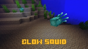 Glow Squid -   [1.16.3]