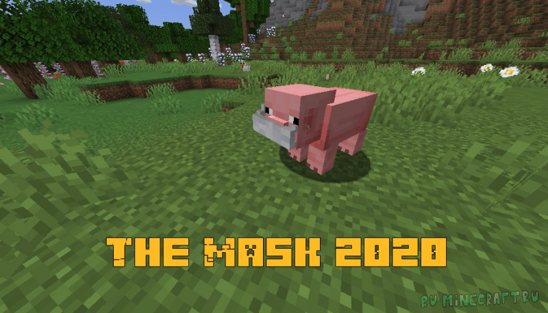 The Mask 2020 -    [1.16.5]