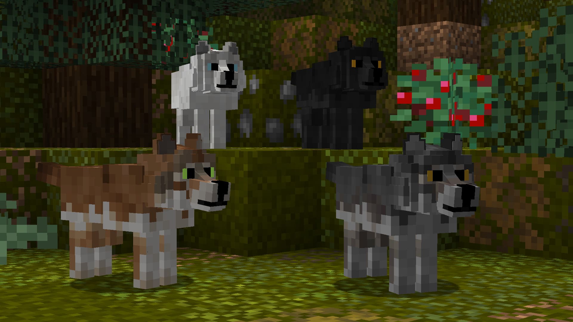 Minecraft 1.20 моды животных. Better Dogs 1.19.3 майнкрафт. Волк майнкрафт 1.18.2. Прирученный волк в майнкрафт. Собака в МАЙНКРАФТЕ.