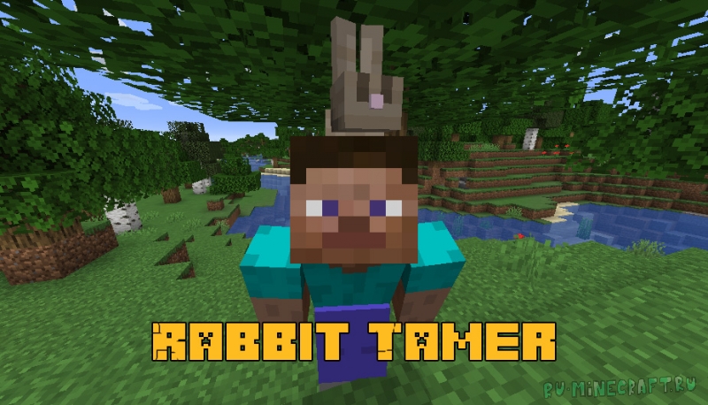 Rabbit Tamer -  ,   [1.16.5] [1.12.2]
