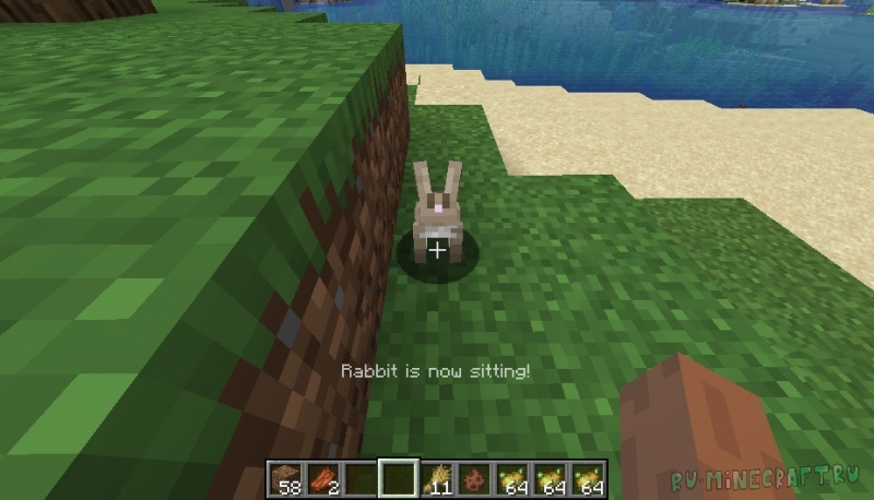 Rabbit Tamer -  ,   [1.16.5] [1.12.2]