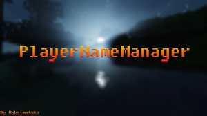 PlayerNameManager - управление никами [1.8+]