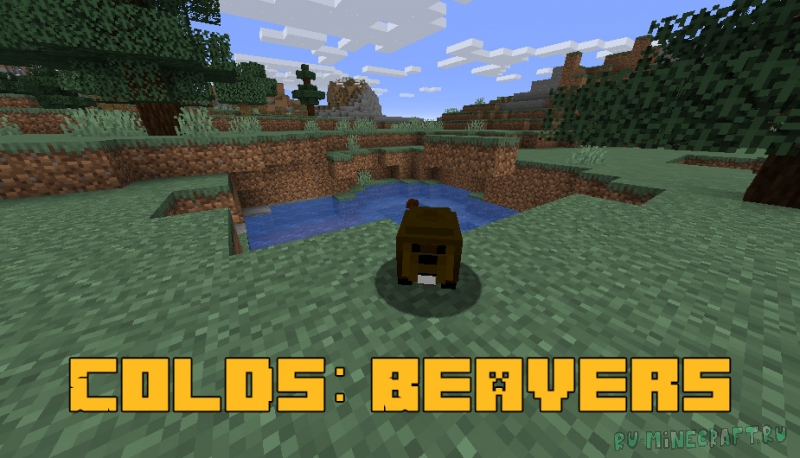 Colds: Beavers -    [1.16.5]