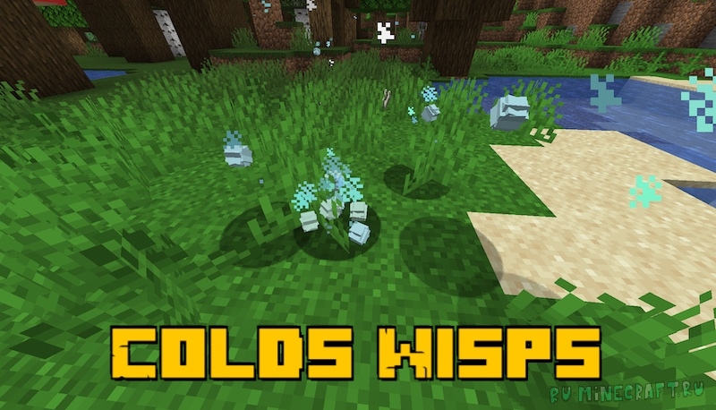 Colds Wisps -  [1.16.5]