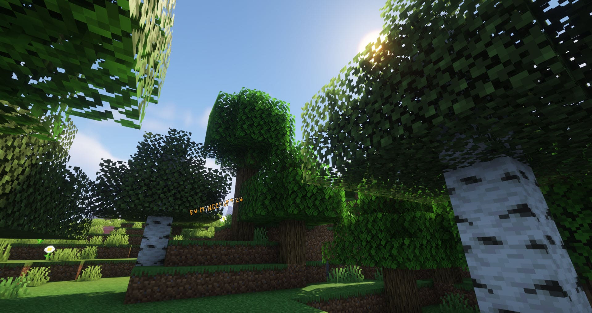 Complementary shaders 1.20 1