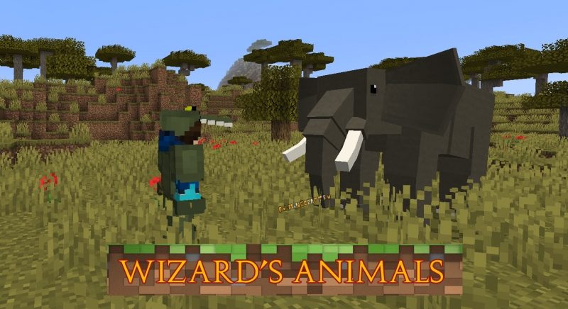 Wizard's Animals - животные, насекомые реального мира [1.16.5] [1.15.2] [1.12.2]