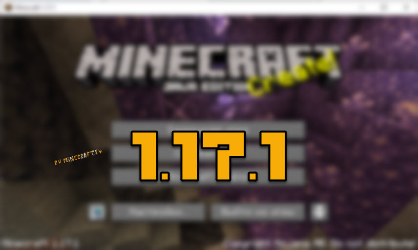 Minecraft 1.17.1
