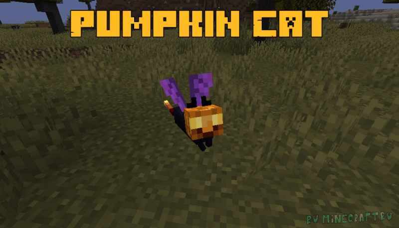 Pumpkin Cat - кот-тыква [1.17.1]
