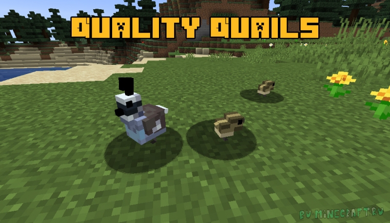 Quality Quails - перепел [1.16.5]